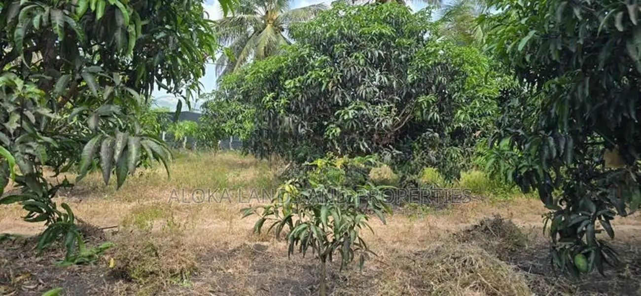 Land for sale in dambulla - දඹුල්ලෙන් අක්කර 2 ක අනර්ඝ ඉඩමක් විකිණීමට