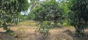 Land for sale in dambulla - දඹුල්ලෙන් අක්කර 2 ක අනර්ඝ ඉඩමක් විකිණීමට