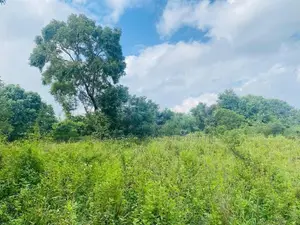 Land For Sale in Dambulla - දඹුල්ලෙන් ඉඩමක් විකිණීමට