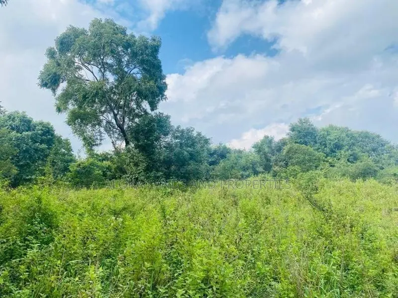 Land For Sale in Dambulla - දඹුල්ලෙන් ඉඩමක් විකිණීමට