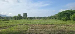 Land For Slae in Dambulla - දඹුල්ලෙන් ඉඩමක් විකිණීමට