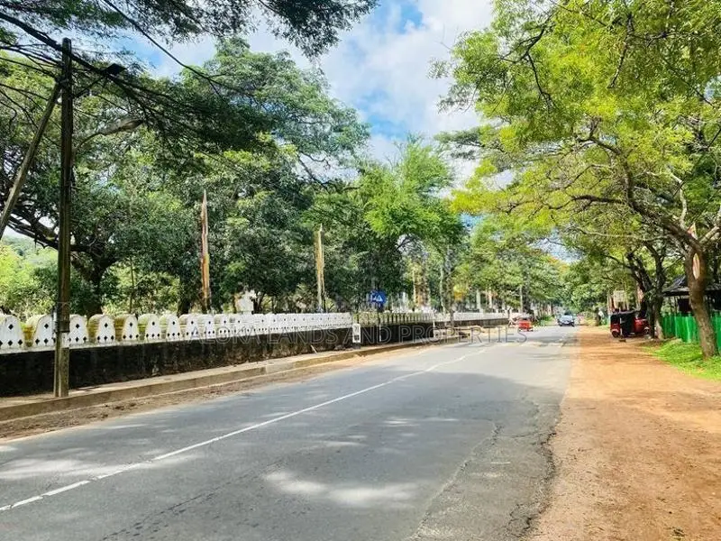 Land For Sale in Dambulla - දඹුල්ලෙන් ඉඩමක් විකිණීමට