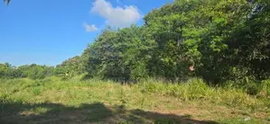 Land For Sale - දඹුල්ලෙන් ඉඩමක් විකිණීමට