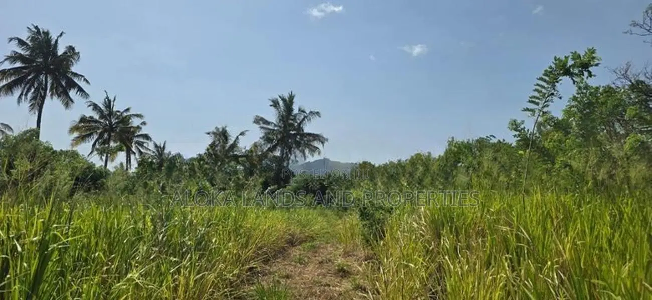 Land for sale in Dambulla - ගඟකට මායිම් වූ අක්කර 1 ක ඉඩමක් විකිණීමට