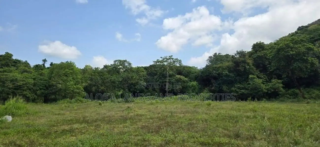Land for sale in Dambulla - දඹුල්ලේන් අක්කර 7 ක අනර්ඝ ඉඩමක් විකිණීමට