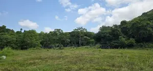 Land for sale in Dambulla - දඹුල්ලේන් අක්කර 7 ක අනර්ඝ ඉඩමක් විකිණීමට