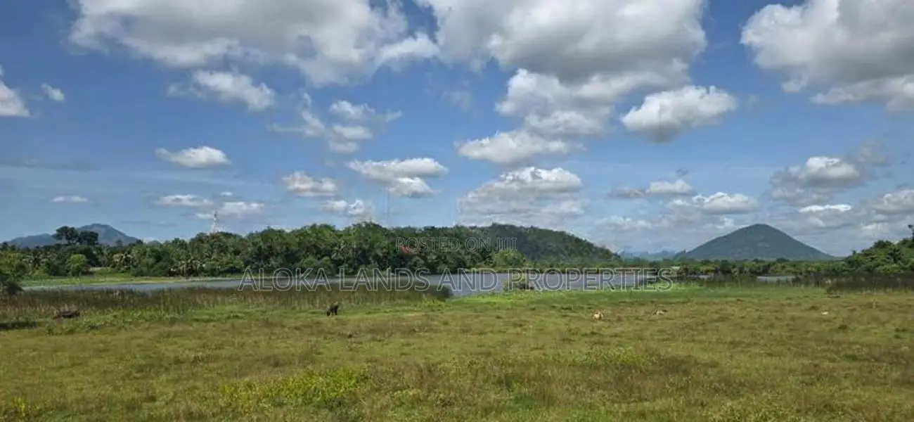Land For Sale in Dambulla - මනරම් වැවක දර්ශනයක් සමග දඹුල්ලේන් ඉඩමක්