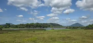 Land For Sale in Dambulla - මනරම් වැවක දර්ශනයක් සමග දඹුල්ලේන් ඉඩමක්