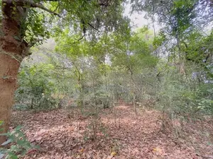 Dambulla – Kandalama |කණ්ඩලම වැවට අසන්නයෙන් වටිනා