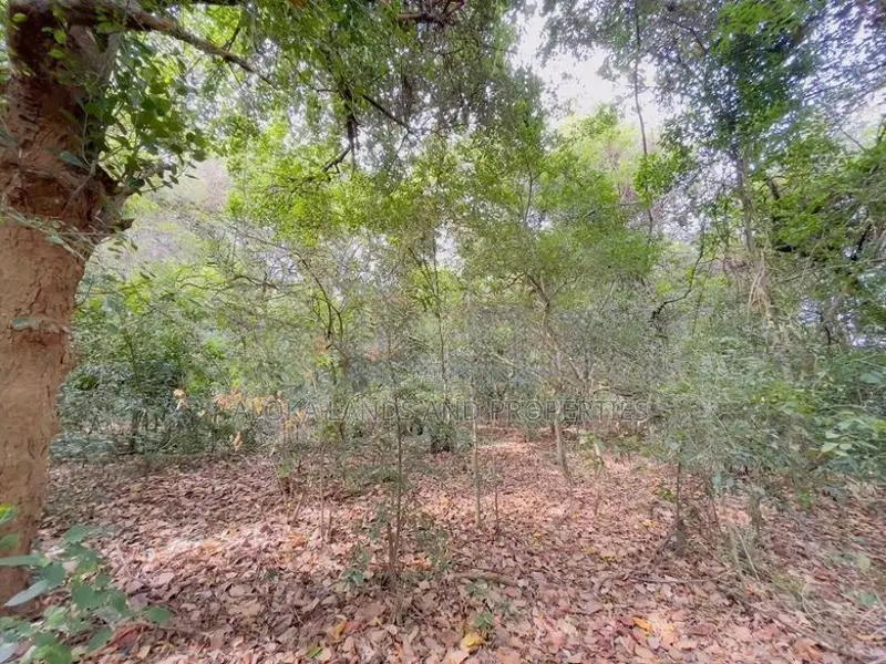 Dambulla – Kandalama |කණ්ඩලම වැවට අසන්නයෙන් වටිනා