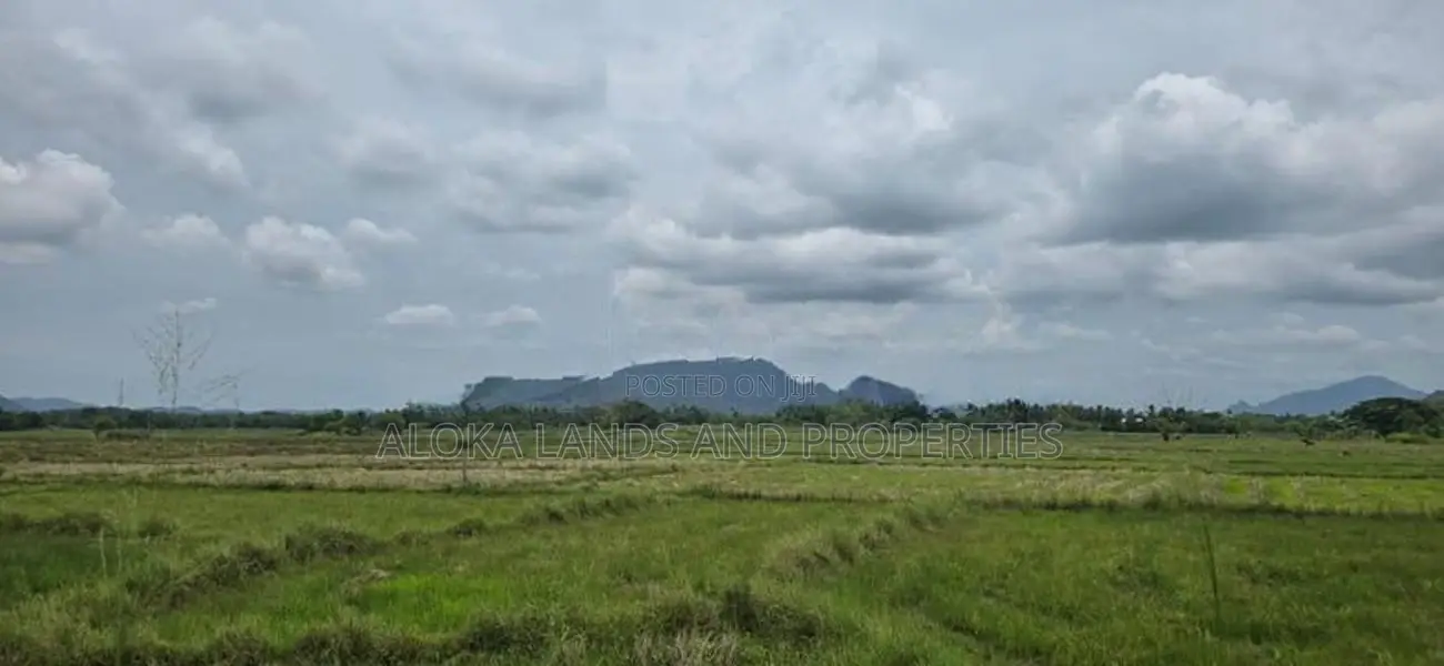 Land For Slae in Dambulla - දඹුල්ලෙන් ඉඩමක් විකිණීමට