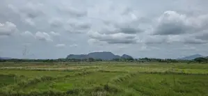 Land For Slae in Dambulla - දඹුල්ලෙන් ඉඩමක් විකිණීමට