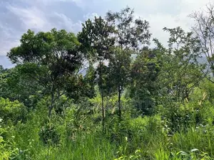 Land in Bandarawela