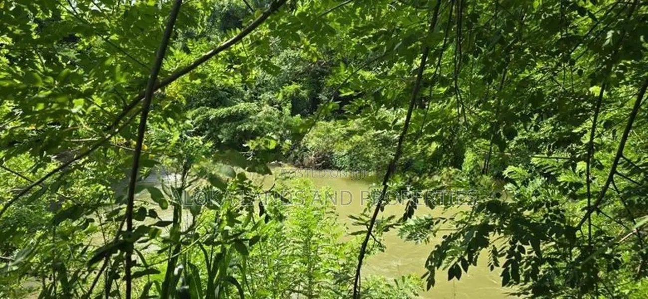 Land for sale in Dambulla - ගඟකට මායිම් වූ අක්කර 1 ක ඉඩමක් විකිණීමට