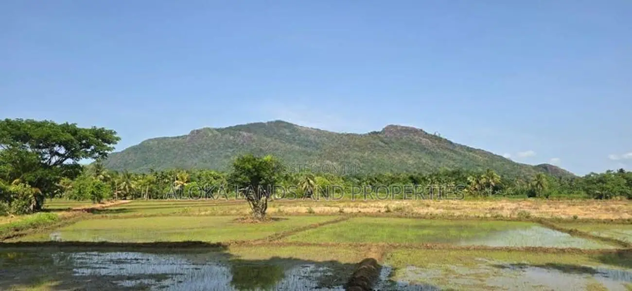 Land For Sale in Dambulla - දඹුල්ලෙන් අක්කර 10 ක අනර්ඝ ඉඩමක් විකිණීමට