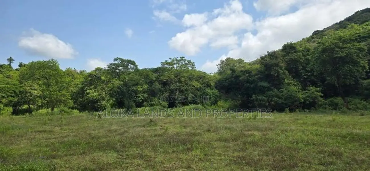 Land for sale in Dambulla - දඹුල්ලේන් අක්කර 7 ක අනර්ඝ ඉඩමක් විකිණීමට