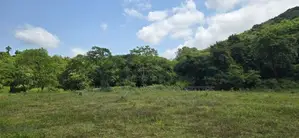 Land for sale in Dambulla - දඹුල්ලේන් අක්කර 7 ක අනර්ඝ ඉඩමක් විකිණීමට