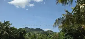 Land for sale in dambulla - දඹුල්ලෙන් අක්කර 2 ක අනර්ඝ ඉඩමක් විකිණීමට