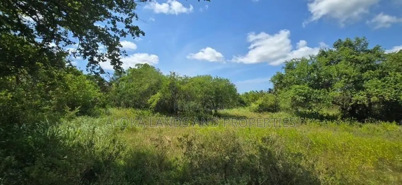 Land For Sale in Dambulla - මනරම් වැවක දර්ශනයක් සමග දඹුල්ලේන් ඉඩමක්