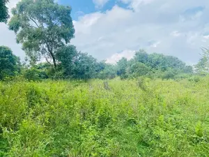 Land For Sale in Dambulla - දඹුල්ලෙන් ඉඩමක් විකිණීමට