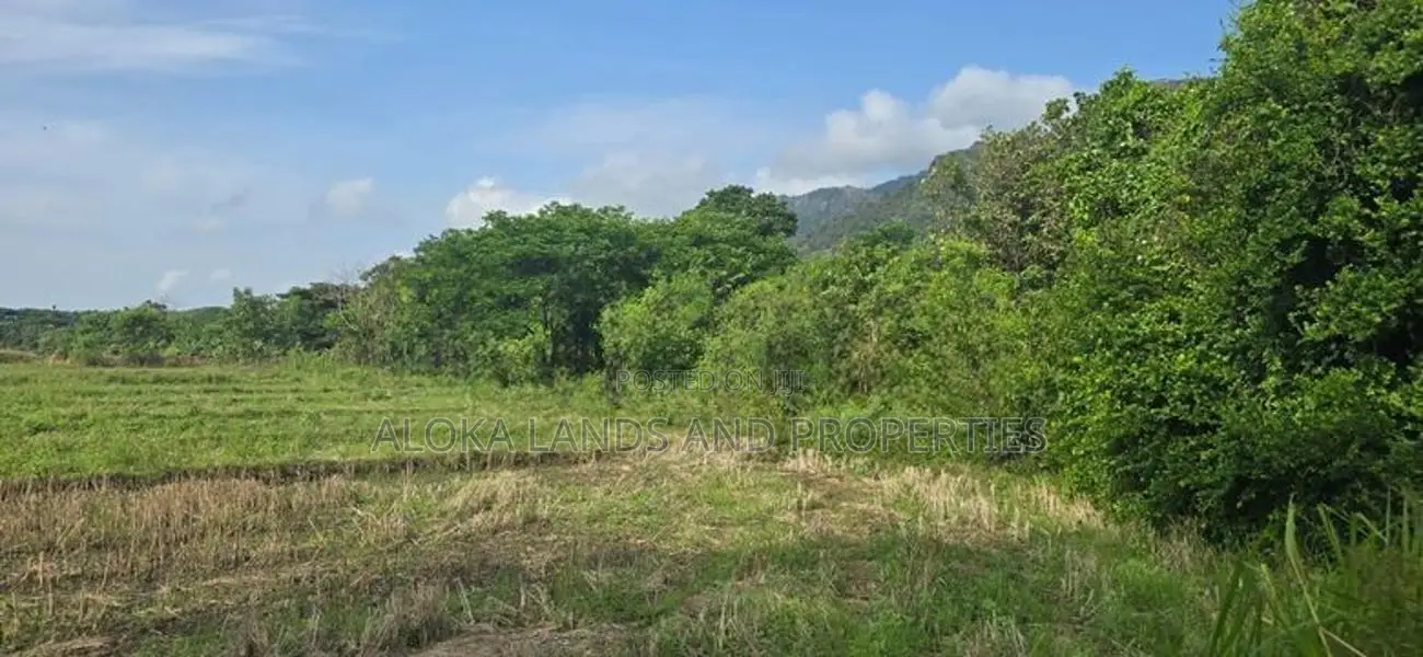 Land For Slae in Dambulla - දඹුල්ලෙන් ඉඩමක් විකිණීමට