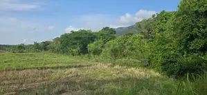 Land For Slae in Dambulla - දඹුල්ලෙන් ඉඩමක් විකිණීමට