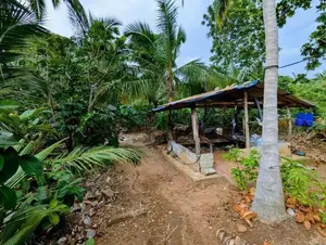 House For Sale in Dambulla - දඹුල්ලෙන් නිවසක් විකිණීමට