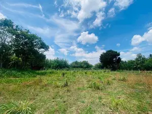 Land For Sale in Dambulla - දඹුල්ලෙන් ඉඩමක් විකිණීමට