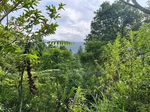 Land in Bandarawela