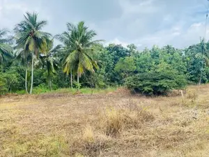 දඹුල්ලබස් නැවතුම්පලට යාබදව අර්ථික මධ්‍යස්ථානයට නොදුරින් ඉඩමක් විකිණීමට