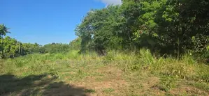 Land For Sale - දඹුල්ලෙන් ඉඩමක් විකිණීමට