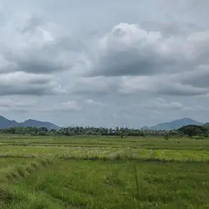 දඹුල්ල නගර මධ්‍යට ඉතාමත් සමීපයෙන් අනර්ග ඉඩමක්-1Land for Sale in Dambul