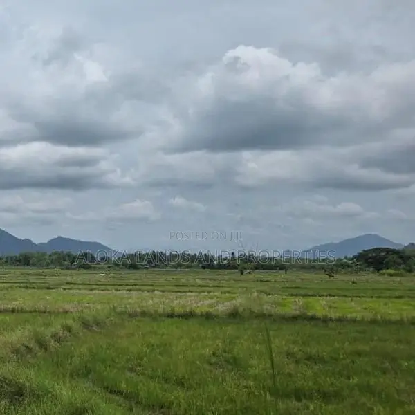 දඹුල්ල නගර මධ්‍යට ඉතාමත් සමීපයෙන් අනර්ග ඉඩමක්-1Land for Sale in Dambul