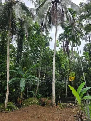 Land for Sale in Hanwella