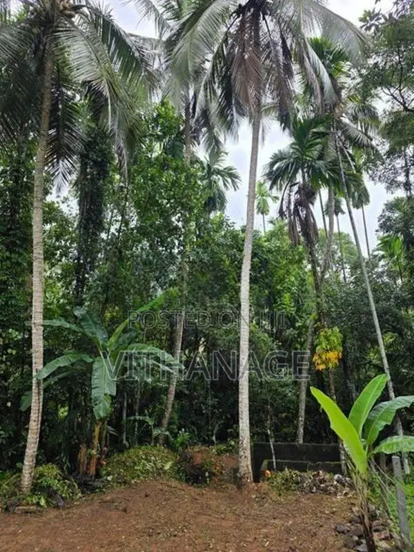 Land for Sale in Hanwella