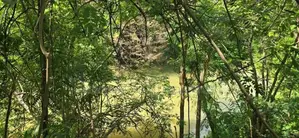 Land for sale in Dambulla - ගඟකට මායිම් වූ අක්කර 1 ක ඉඩමක් විකිණීමට