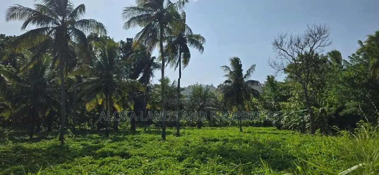 Land For Sale in Dambulla - දඹුල්ලෙන් අක්කර 10 ක අනර්ඝ ඉඩමක් විකිණීමට