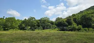 Land for sale in Dambulla - දඹුල්ලේන් අක්කර 7 ක අනර්ඝ ඉඩමක් විකිණීමට