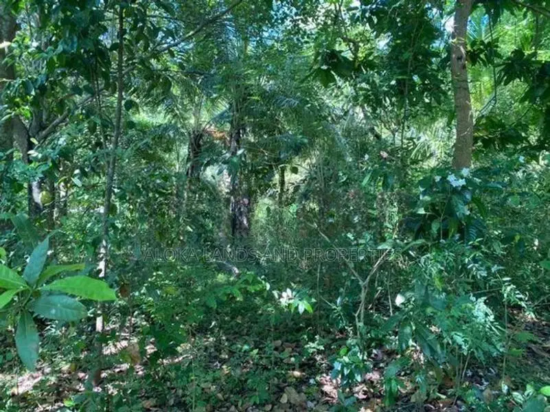 Land For Sale in Dambulla - දඹුල්ලෙන් ඉඩමක් විකිණීමට