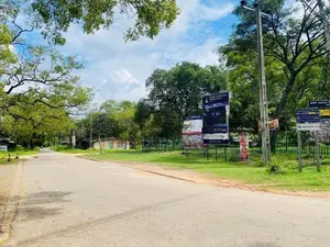 Land For Sale in Dambulla - දඹුල්ලෙන් ඉඩමක් විකිණීමට