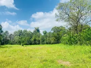 දඹුල්ල කණ්ඩලම ප්‍රධාන මාර්ගයට සමීපයෙන් අනර්ග ඉඩමක් විකිණීමට