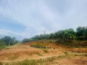 Land For Sale in Dambulla - අනර්ග ඉඩම්ක් ව්‍යාපාරික ගොඩනැගිල්ලක් සමග