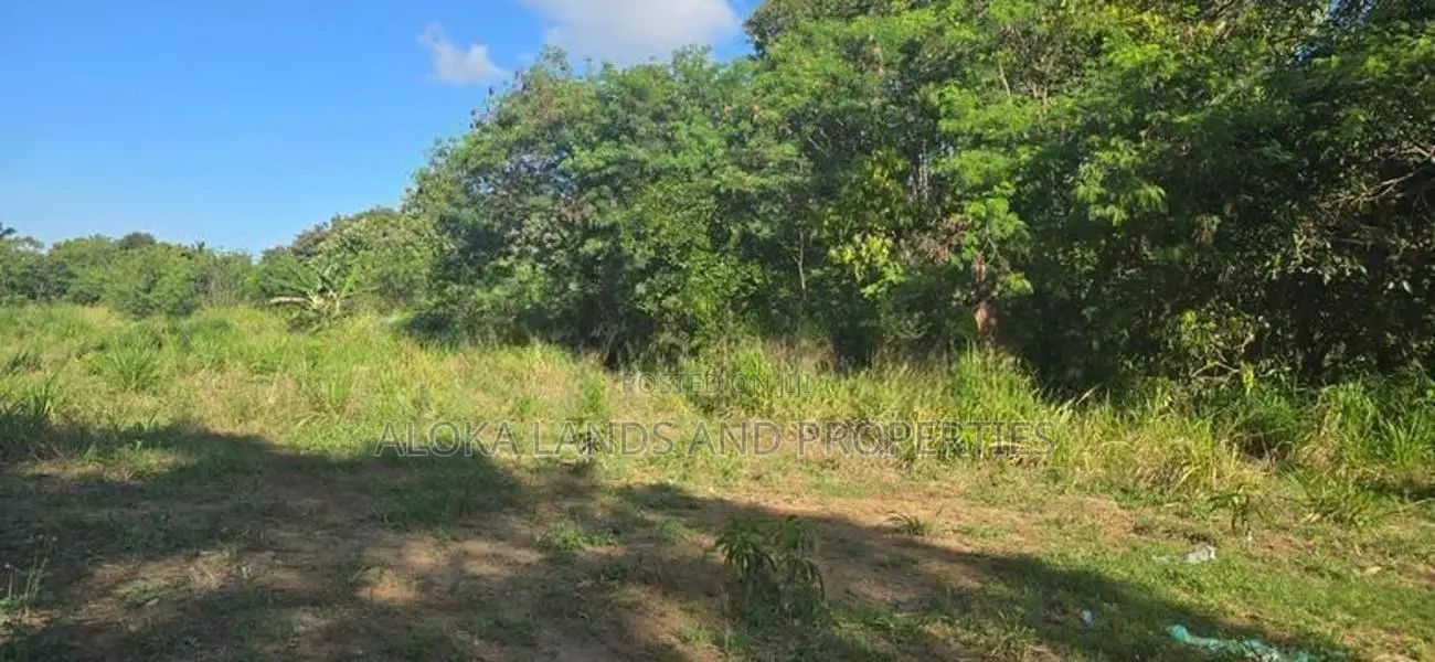Land For Sale - දඹුල්ලෙන් ඉඩමක් විකිණීමට