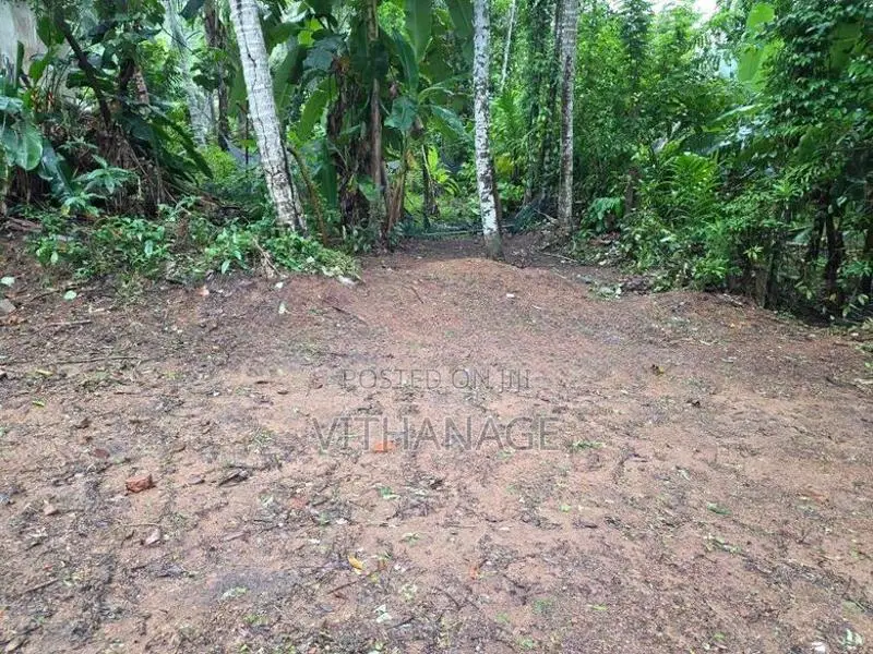 Land for Sale in Hanwella