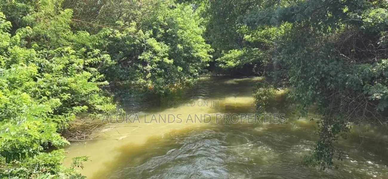 Land for sale in Dambulla - ගඟකට මායිම් වූ අක්කර 1 ක ඉඩමක් විකිණීමට