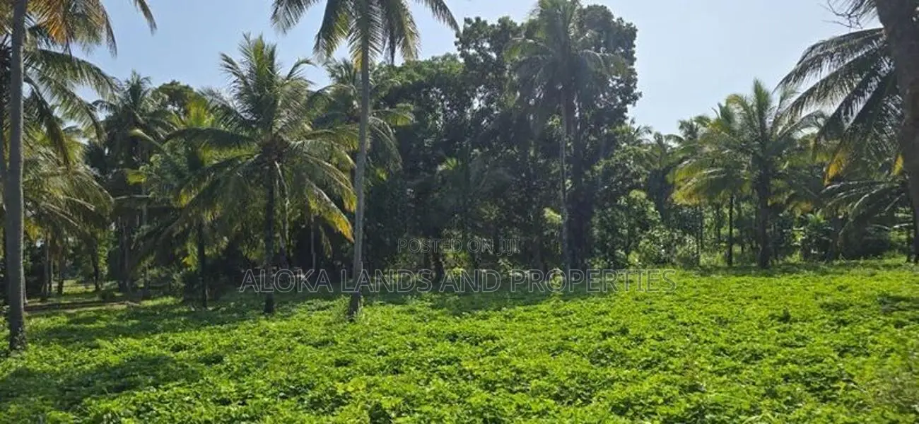 Land For Sale in Dambulla - දඹුල්ලෙන් අක්කර 10 ක අනර්ඝ ඉඩමක් විකිණීමට