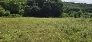 Land for sale in Dambulla - දඹුල්ලේන් අක්කර 7 ක අනර්ඝ ඉඩමක් විකිණීමට
