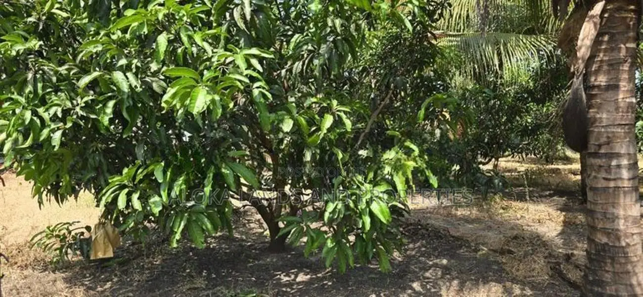 Land for sale in dambulla - දඹුල්ලෙන් අක්කර 2 ක අනර්ඝ ඉඩමක් විකිණීමට