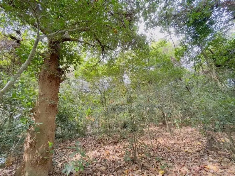 Dambulla – Kandalama |කණ්ඩලම වැවට අසන්නයෙන් වටිනා