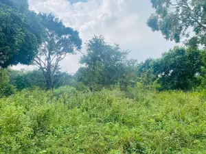 Land For Sale in Dambulla - දඹුල්ලෙන් ඉඩමක් විකිණීමට